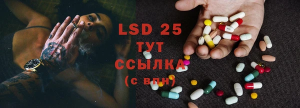 винт Аркадак