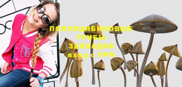 винт Аркадак